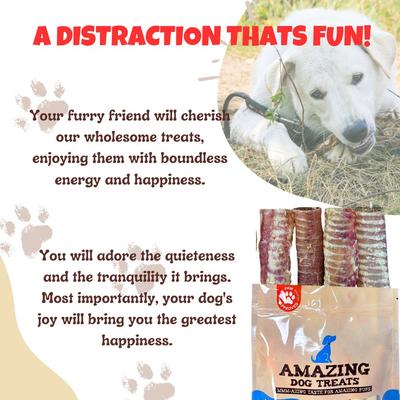 Beef Trachea 6-inch Dog Treats, 5 count