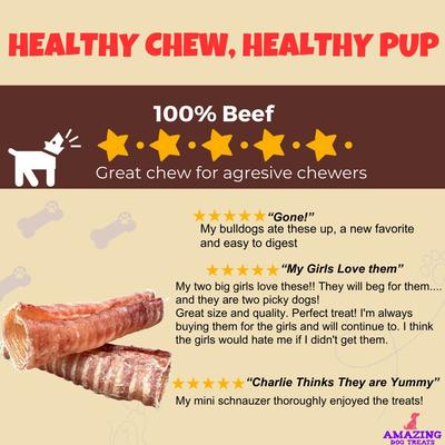 Beef Trachea 6-inch Dog Treats, 5 count