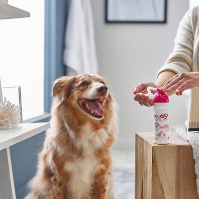 CALM Soothing Itchy, Hydrated Skin Dog & Cat Mousse, 5.1-fl oz bottle