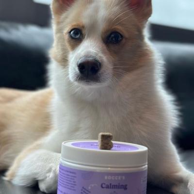 Soft Chew Calming Supplement for Dogs, 60 count