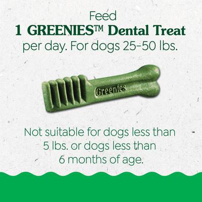 Regular Natural Puppy Dental Dog Treats, 12 count
