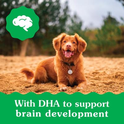 Regular Natural Puppy Dental Dog Treats, 12 count