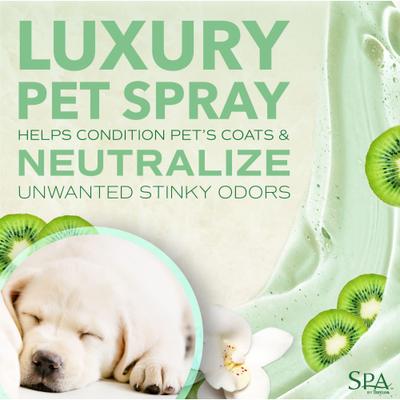 Spa Comfort Cologne Spray, 8-fl oz bottle