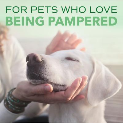 Spa Comfort Cologne Spray, 8-fl oz bottle