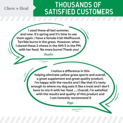 Lawn Savor Soft Chew Lawn Protection Supplement for Dogs, 240 count