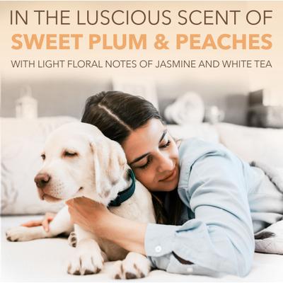 Spa Renew Oatmeal Dog & Cat Shampoo, Luscious Sweet Plum & Peaches Scent, 16-fl oz bottle