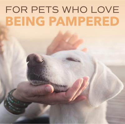 Spa Renew Oatmeal Dog & Cat Shampoo, Luscious Sweet Plum & Peaches Scent, 16-fl oz bottle