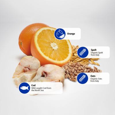 N&D Ocean Codfish & Orange Ancestral Grain Mini Adult Dry Dog Food, 15.4-lb bag