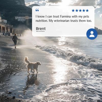 N&D Ocean Codfish & Orange Ancestral Grain Mini Adult Dry Dog Food, 15.4-lb bag