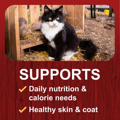 Comida seca para gatos Tasty Morsels con sabor a pollo natural, bolsa de 40 lb