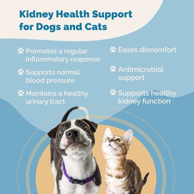 Kidney Health Support Liquid Cat & Dog Supplement, 2-fl oz bottle