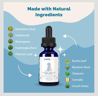 Kidney Health Support Liquid Cat & Dog Supplement, 2-fl oz bottle