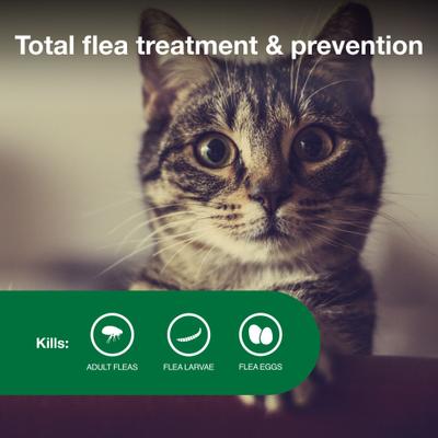 Tratamiento antipulgas para gatos de 5 a 9 libras, 2 dosis (suministro para 2 meses)