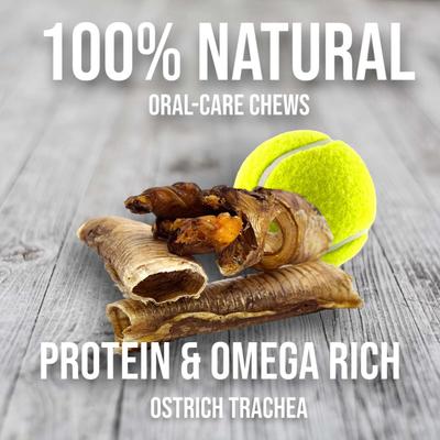 Crunchy Ostrich Trachea Cuts Dog Treats, 3 count