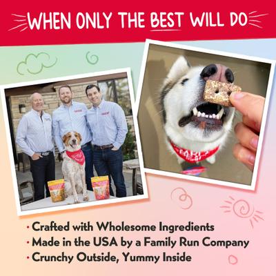 Nuggets PB & Beary Parfait Crunchy Dog Treats, 6-oz bag