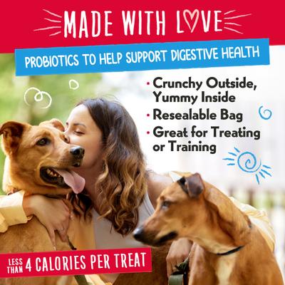 Nuggets PB & Beary Parfait Crunchy Dog Treats, 6-oz bag