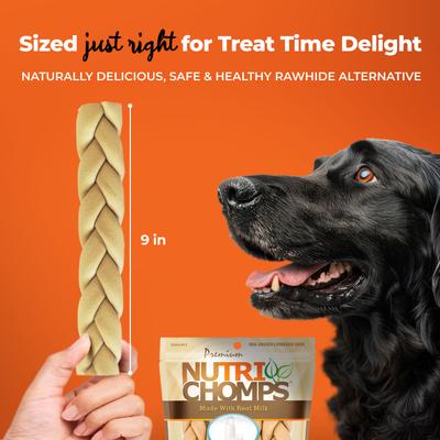 9-in Milk Flavor Braid Dog Treats, 4 count