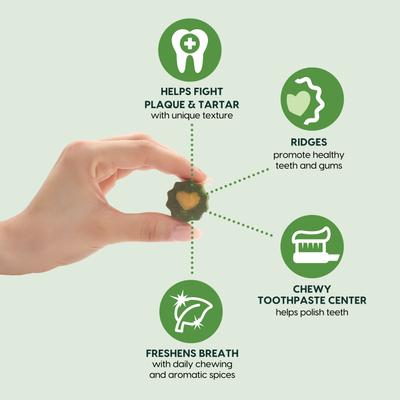 Soft Brushless Toothpaste Large Dental Dog Treats, 18-oz bag