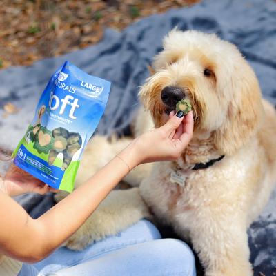 Soft Brushless Toothpaste Large Dental Dog Treats, 18-oz bag