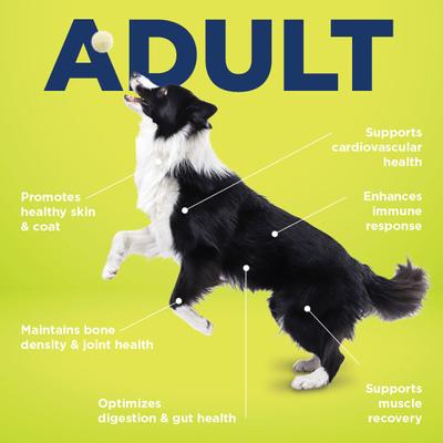 ALL-IN 1 Multifunctional Supplements for Dogs, 90 count