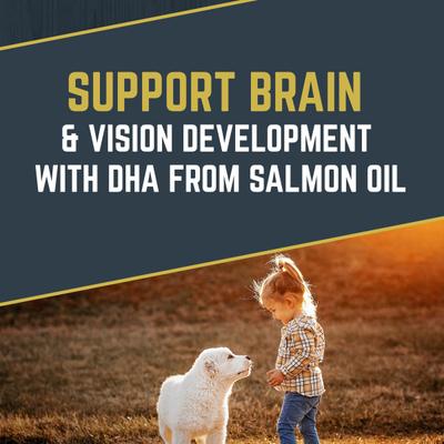 Comida seca para perros Explorer Large Breed Puppy Recipe, bolsa de 40 lb