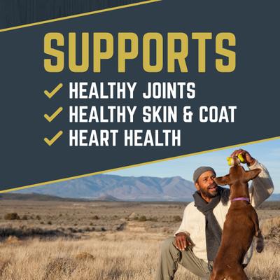 Comida seca para perros Explorer Large Breed Puppy Recipe, bolsa de 40 lb