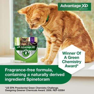 Bundle: Advantage XD Large Cat Treatment, 2 count + Pet Protect Free Form Omega-3 Fish Oil Liquid Supplement for Small Dogs & Cats, 4-fl oz bottle