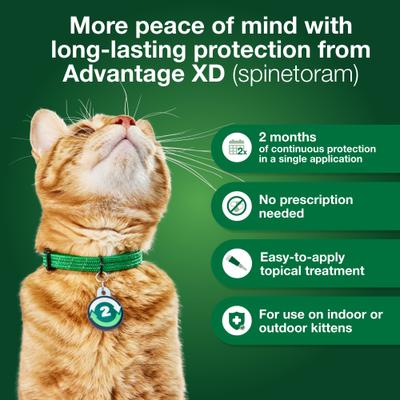 Bundle: Advantage XD Large Cat Treatment, 2 count + Pet Protect Free Form Omega-3 Fish Oil Liquid Supplement for Small Dogs & Cats, 4-fl oz bottle