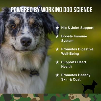 Beef Flavored Multi-Functional Supplement for Dogs, 90 count