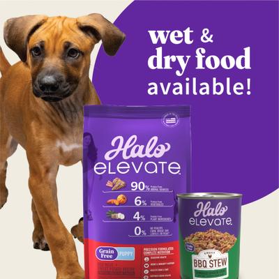 Elevate Smoky BBQ Shredded Chicken Stew with Sweet Potatoes & Green Beans Grain-Free Wet Dog Food, 12.7-oz can, case of 6