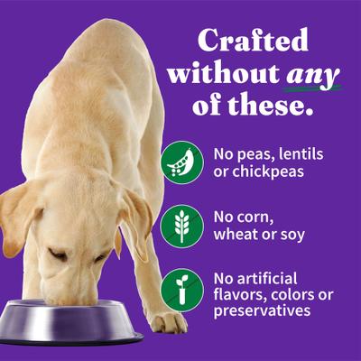 Elevate Smoky BBQ Shredded Chicken Stew with Sweet Potatoes & Green Beans Grain-Free Wet Dog Food, 12.7-oz can, case of 6