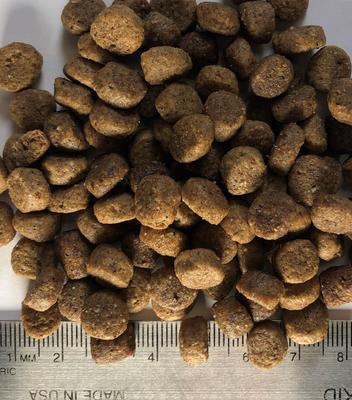 Puppy Recipe Dry Dog Food, 13-lb bag