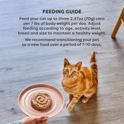 Vitality Tuna Fillet & Mackerel Recipe Pate Grain-Free Wet Cat Food, 2.47-oz can, case of 24