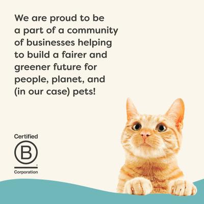 Vitality Tuna Fillet & Mackerel Recipe Pate Grain-Free Wet Cat Food, 2.47-oz can, case of 24