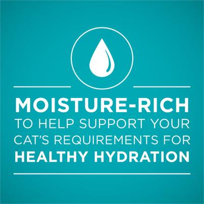 Natural Weight Control Ideal Weight Tender Salmon Recipe Wet Cat Food, 3-oz can, case of 24