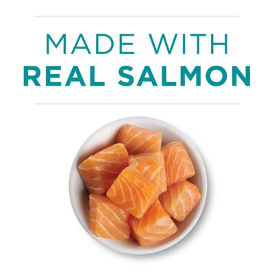 Natural Weight Control Ideal Weight Tender Salmon Recipe Wet Cat Food, 3-oz can, case of 24