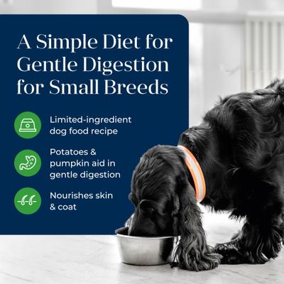 Basics Skin & Stomach Care Grain-Free Lamb & Potato Small Breed Adult Wet Dog Food, 3.5-oz, case of 12