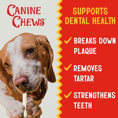 10-11-inch Retriever Skinny Stick Beef Flavor Dental Dog Chews, 50 count