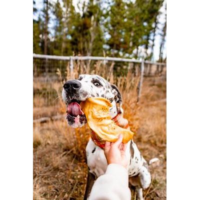 Premios para perros de orejas de res totalmente naturales, bolsa de 4.2 oz
