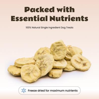 Freeze-Dried Banana Slices Grain-Free Digestive Support Freeze-Dried Dog & Cat Treats, 3-oz bag