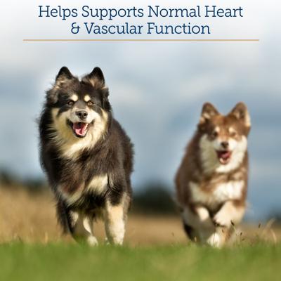 Formula CV Capsules Heart Supplement for Cats & Dogs, 90 count