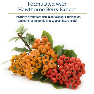 Formula CV Capsules Heart Supplement for Cats & Dogs, 90 count