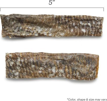 Bundle: The Honest Kitchen Beams Ocean Chews Wolfish Skins + Beams Ocean Chews Cod Fish Skins Dehydrated Dog Treats