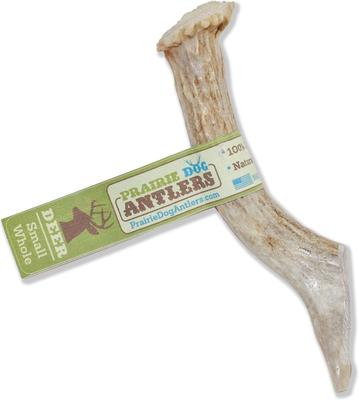 Whole Deer Antler Dog Chews, 8 - 9.5 in