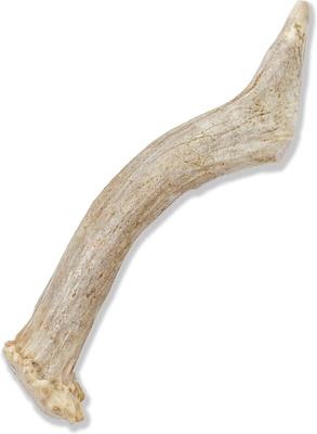 Whole Deer Antler Dog Chews, 4 - 5.5 in