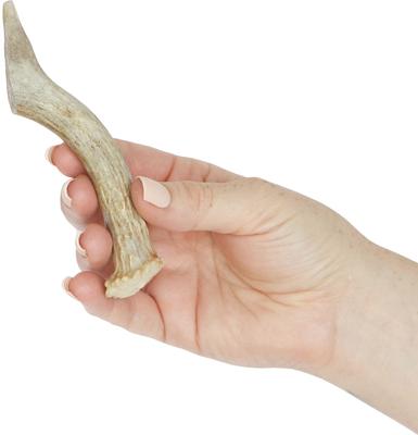 Whole Deer Antler Dog Chews, 4 - 5.5 in