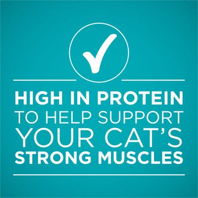 Natural Chicken in Gravy High Protein Wet Cat Food, 3-oz can, case of 24