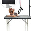 Dog & Cat Grooming Table