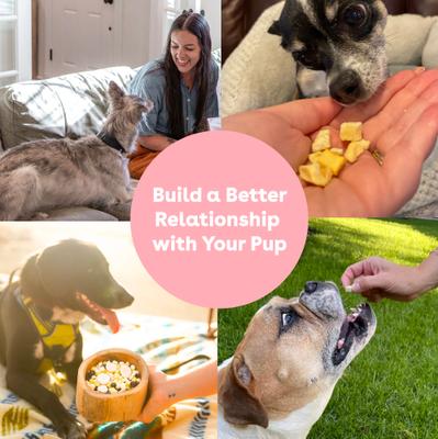 Train Mango Natural Freeze-Dried Dog Treats, 2-oz pouch