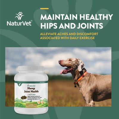 Joint Care with Hemp Hip & Joint Bacon & Chicken Flavored Soft Chew Supplement for Dogs, 240 count